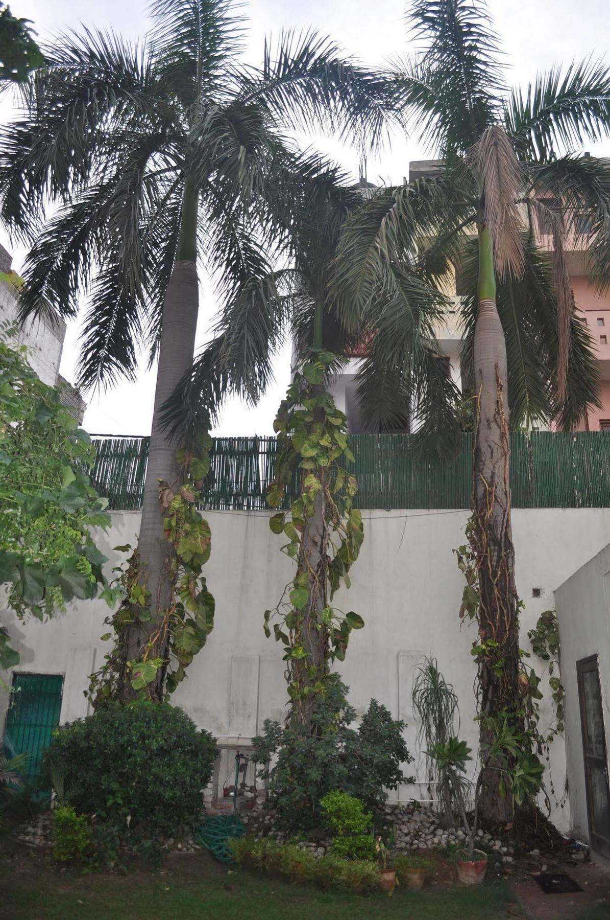 Hotel Kabli Nuova Delhi Esterno foto