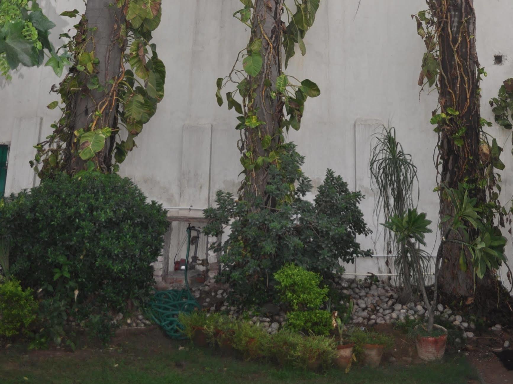Hotel Kabli Nuova Delhi Esterno foto